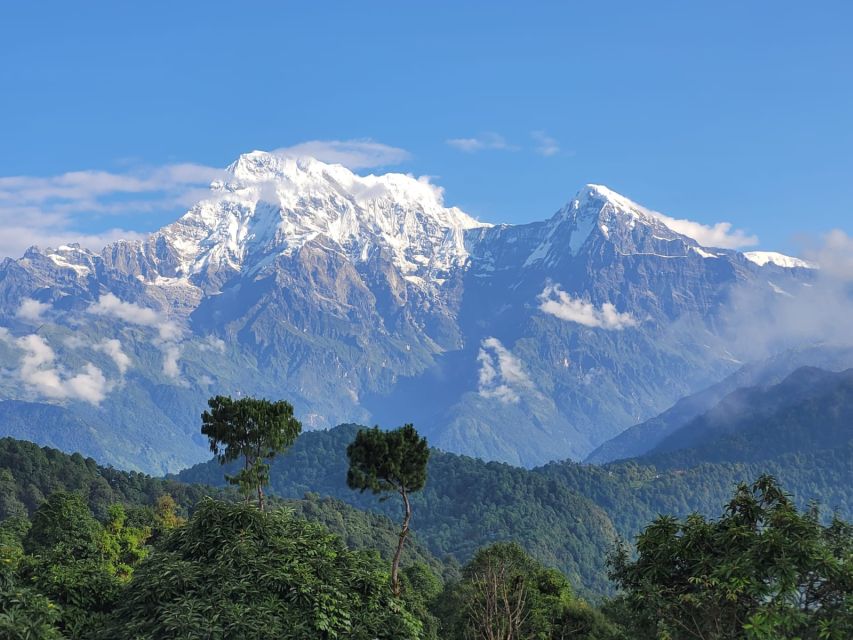 Pokhara: 1-Day Hike to Australian Camp and Dhampus Village - Should you book Australian Camp and Dhampus?