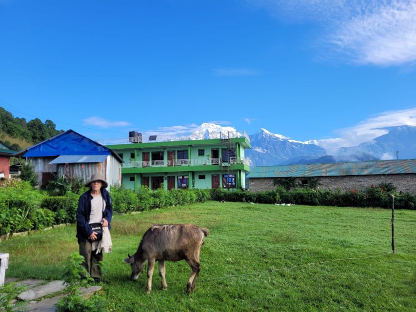 Pokhara: 1-Day Hike to Australian Camp and Dhampus Village - Australian Camp and the Annapurna views