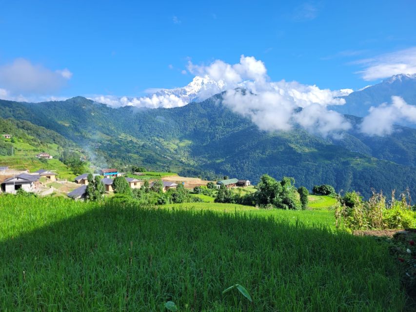 Pokhara: 1-Day Hike to Australian Camp and Dhampus Village - How the $47 price holds up