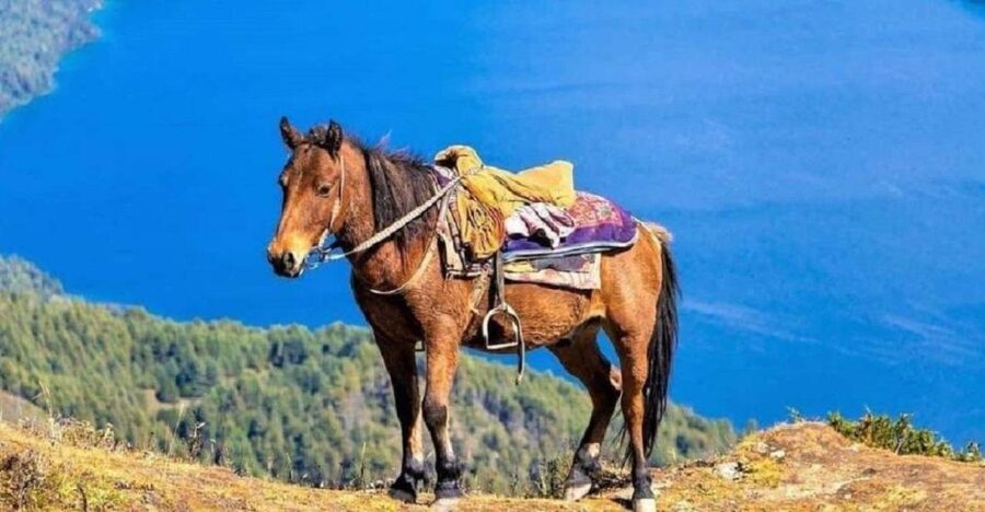Pokhara: 1-Hour Horseback Ride with Hotel Pickup - Key points before you book