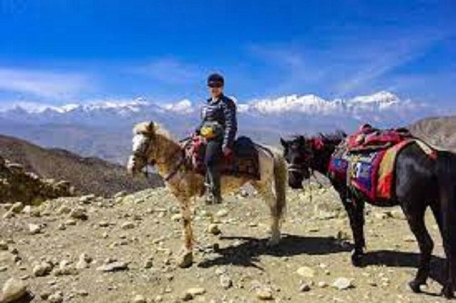 Pokhara: 1-Hour Horseback Ride with Hotel Pickup - Meeting the horses and getting ready