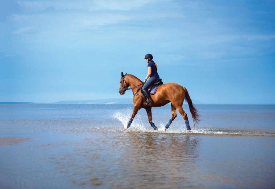 Pokhara: 1-Hour Horseback Ride with Hotel Pickup - Forests, meadows, and possible wildlife