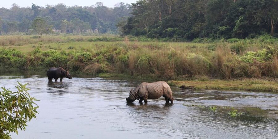 Pokhara: 1 Night 2 Day Chitwan Safari Tour - The 7 a.m. Pickup and Road to Chitwan