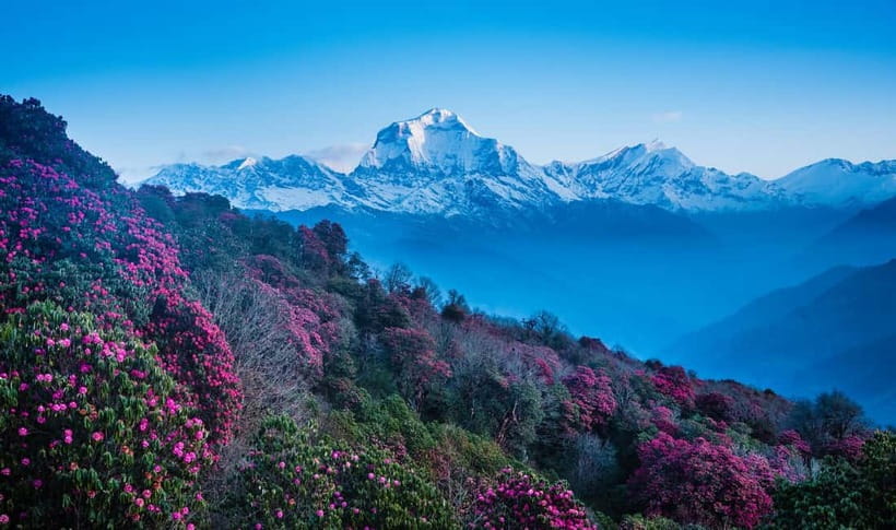 Pokhara: 2 & 3 Days Ghorepani Poon Hill Private Guided Trek - Poon Hill before dawn: what the big moment feels like