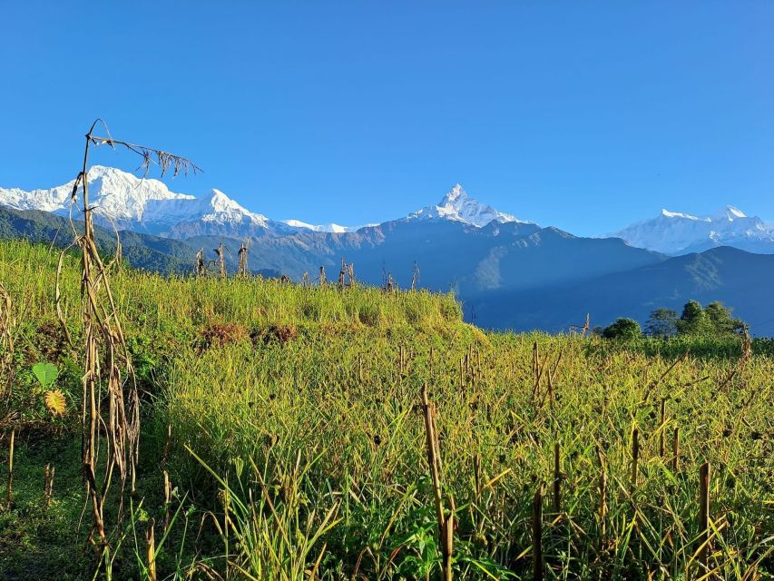 Pokhara: 2-Day Australian Camp & Dhampus Village Easy Hike - Australian Camp delivers the main mountain show