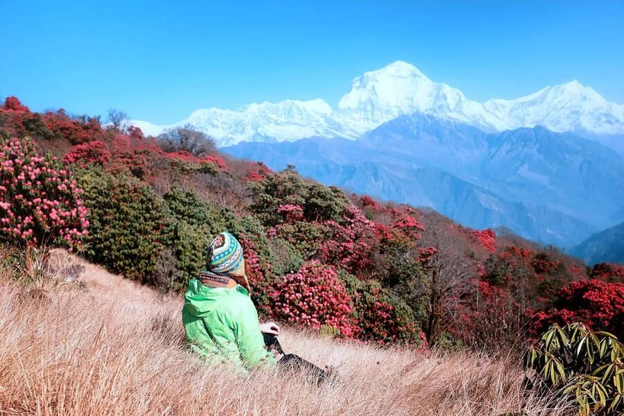 Pokhara: 2 Day Ghorepani & Poon Hill Private Trekking - Climbing through fields, forest, and Gurung villages