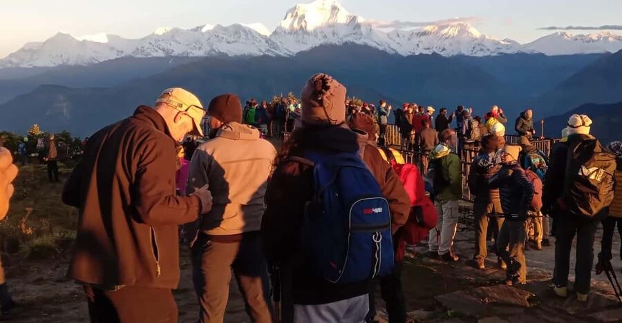 Pokhara: 3-Day Easy pulse Poon Hill Trek. - Day 2: Rhododendron forests and the ascent to Ghorepani