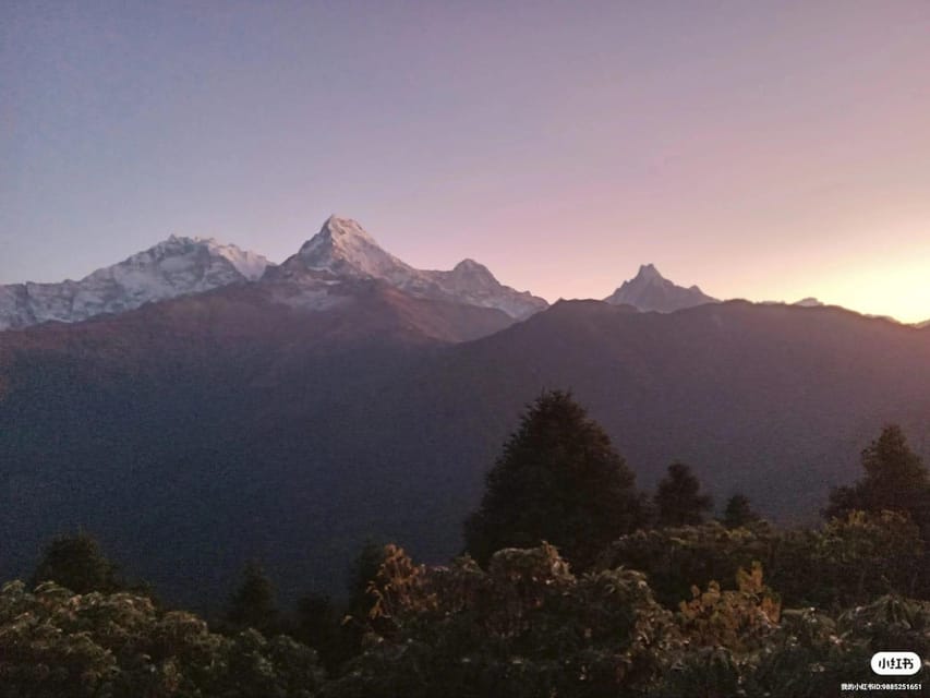Pokhara: 3-Day Easy pulse Poon Hill Trek. - What the $258 price includes and what it leaves out