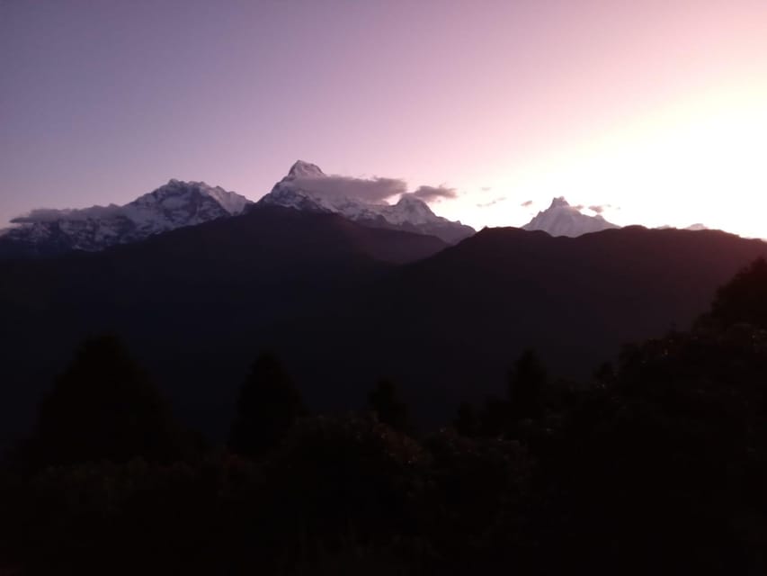 Pokhara: 3-Day Easy pulse Poon Hill Trek. - The guide, transport, and private group advantage