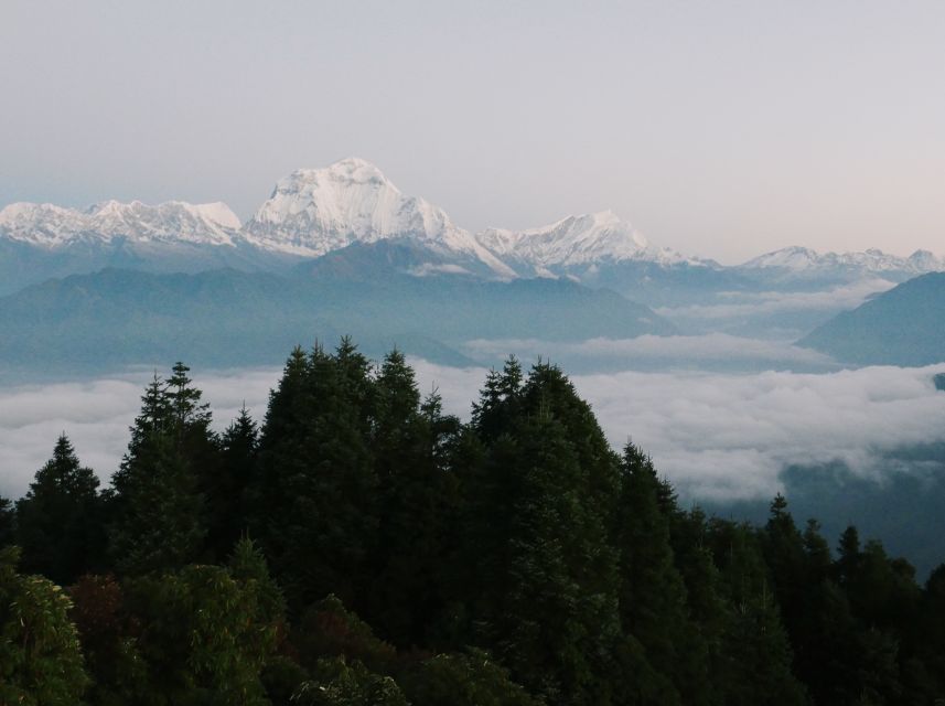 Pokhara: 3-Day Ghorepani and Poon Hill Trek - Booking details that affect the decision