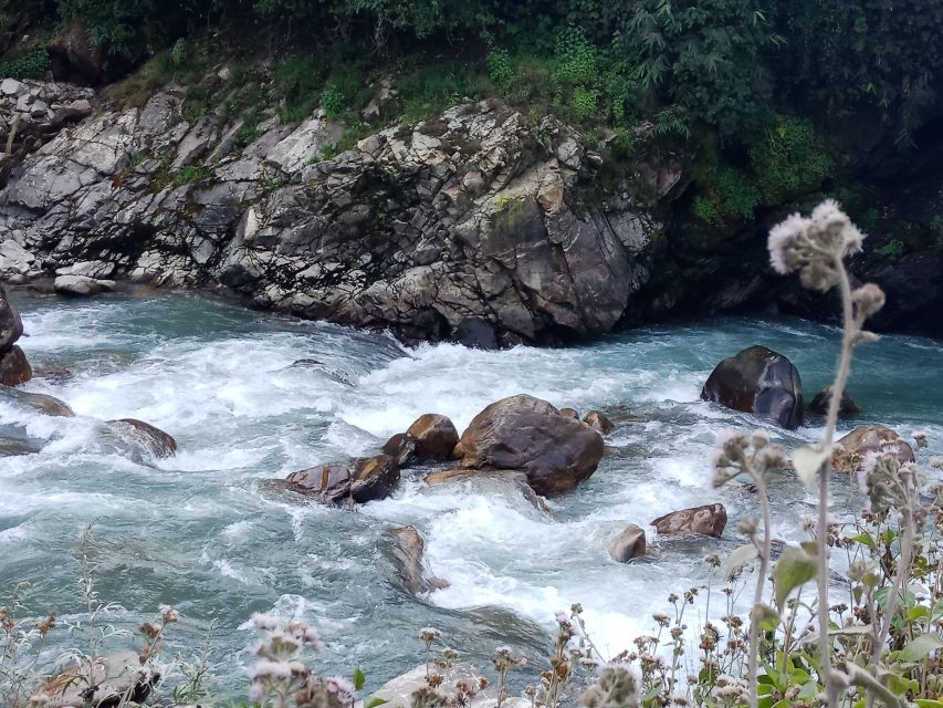 Pokhara: 3-Day Ghorepani, Poon Hill and Ghandruk Guided Trek - Day 2: Sunrise at Poon Hill, then the long way to Ghandruk