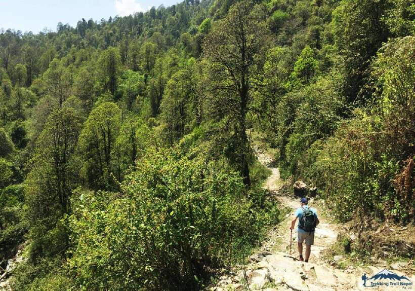 Pokhara: 3-Day Hike Tour To Annapurna Himalayas Foothill - From Pokhara to Kande, Then Up to Australian Base Camp