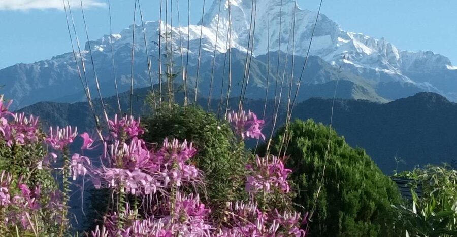 Pokhara: 3-Day Trek - Why this short trek works so well from Pokhara