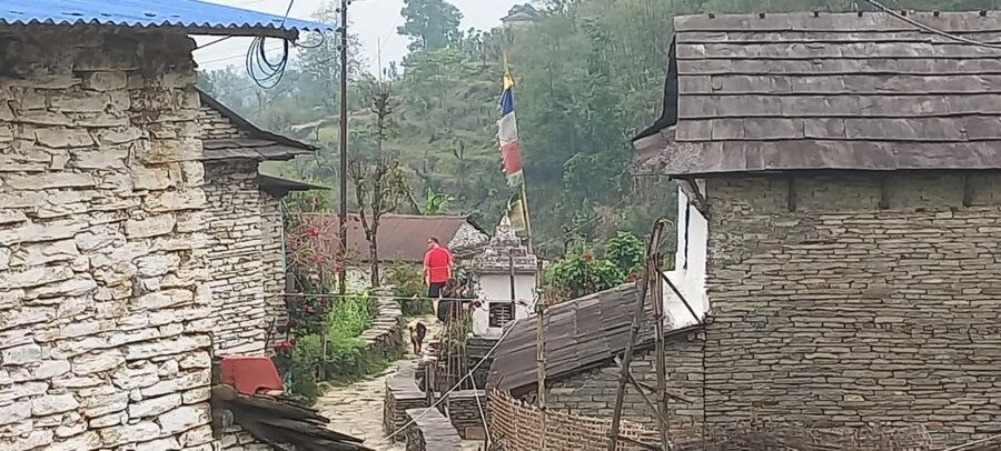 Pokhara: 3-Day Trek - Day three: A short descent back to Pokhara