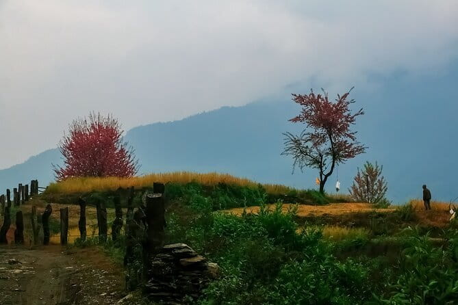 Pokhara 3 Days Ghorepani and Poon Hill Private Trek via Ghandruk - Guides, pace, and the private advantage