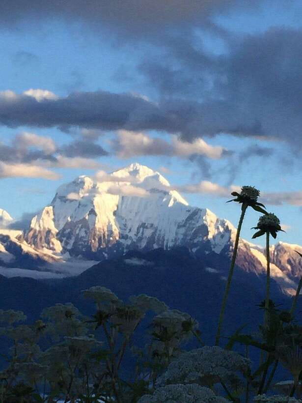 Pokhara: 3 days Trek to Poon hill - Where this trek delivers, and where it does not