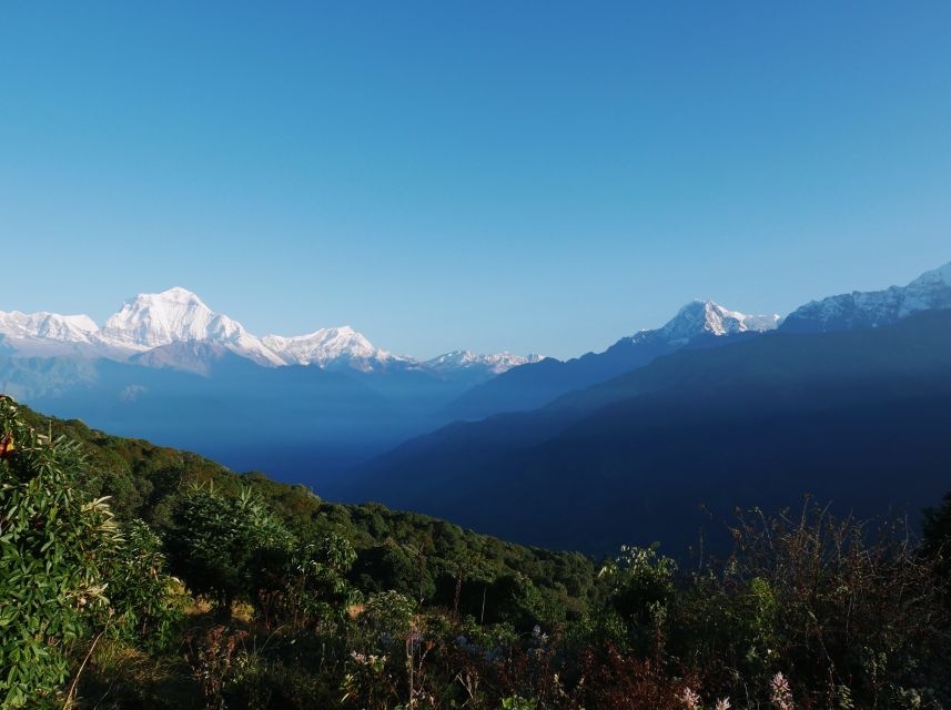 Pokhara:4-Day Ghorepani Poon Hill Guided Trek via Ghandruk - Day One: Pokhara to Nayapul and Tikhedhunga