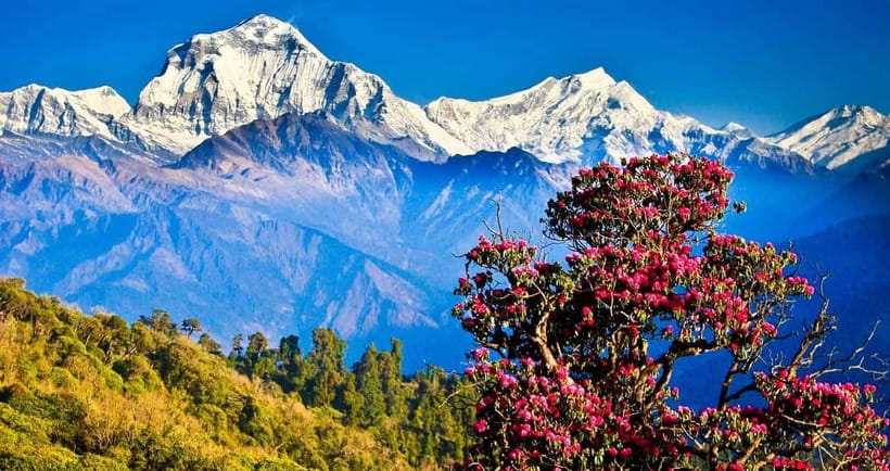 Pokhara: 4-Day Ghorepani, Poonhill & Ghandruk Mountain Trek - Key points at a glance