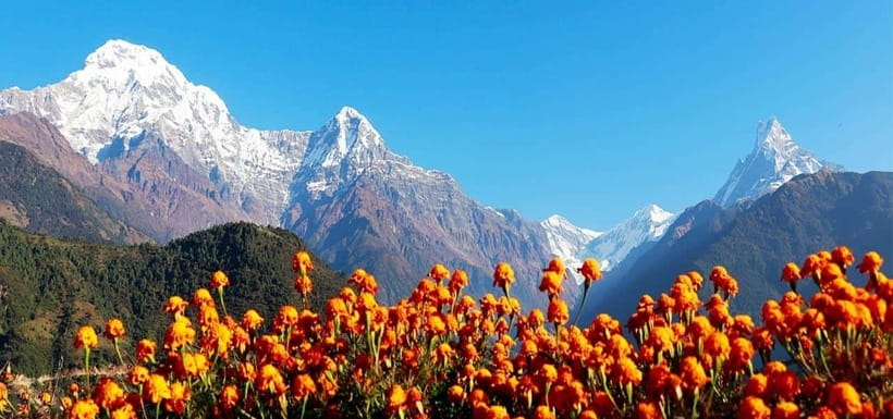 Pokhara: 4-Day Ghorepani, Poonhill & Ghandruk Mountain Trek - Day 2: Rhododendron forest and the high village of Ghorepani
