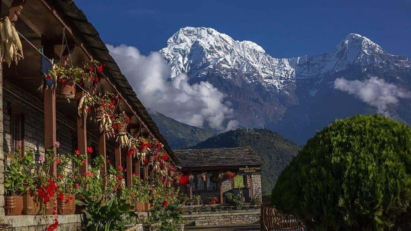 Pokhara: 4-Day Ghorepani, Poonhill & Ghandruk Mountain Trek - The guide can make or break the four days
