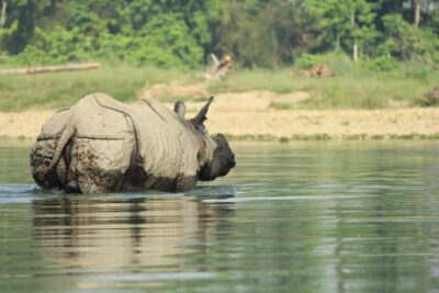 4 Day Lumbini and Chitwan Safari Tour By Car