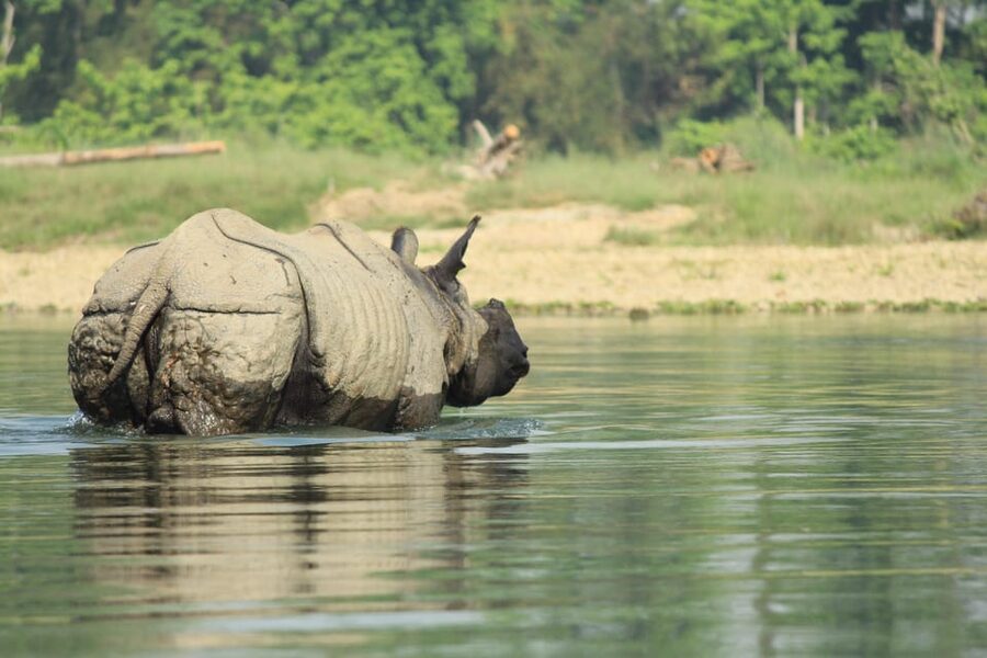 Pokhara : 4 Day Lumbini and Chitwan Safari Tour By Car - Day 1: Leaving Pokhara for Lumbini