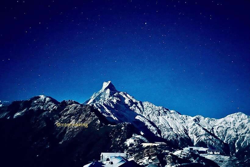 Pokhara: 4-Day Mardi Himal Trek - Day 2: Forest Camp to High Camp through rhododendron forest