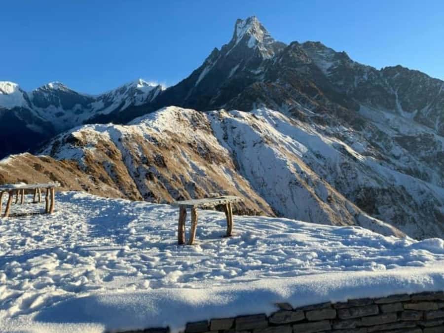 Pokhara: 4-Day Mesmerizing Mardi Himal Guided Trek - Guides and the private group advantage