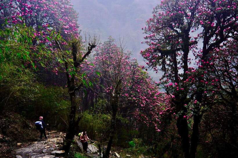 Pokhara: 4-Day Poon Hill and Ghandruk Guided Trek - What the $226 price includes, and what it does not