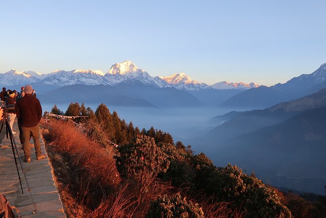 Pokhara: 4 Day Poon Hill Trek - Day Three: Poon Hill Sunrise Before Breakfast