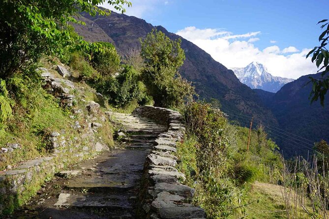 Pokhara: 4 Day Poon Hill Trek - Day One: Pokhara to Nayapul and Tikhedhunga