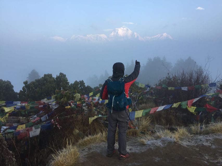 Pokhara: 4-Day Private Trek Tour - Day 2: Rhododendron forest and Ghorepani