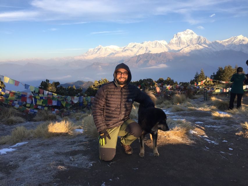 Pokhara: 4-Day Private Trek Tour - Day 3: Poon Hill sunrise and the descent to Tadapani