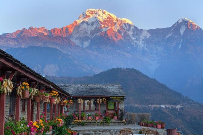 Pokhara: 4 Days Poon Hill and Ghandruk Trek - Day two: Ulleri to Ghorepani through rhododendron country