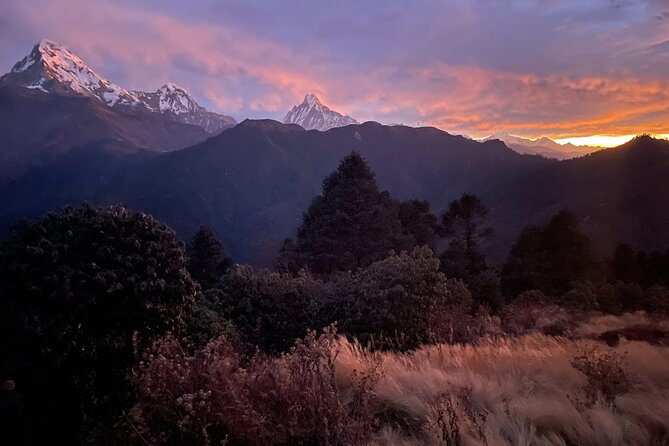 Pokhara: 4 Days Poon Hill and Ghandruk Trek - Day one: Pokhara to Ulleri and the first uphill test