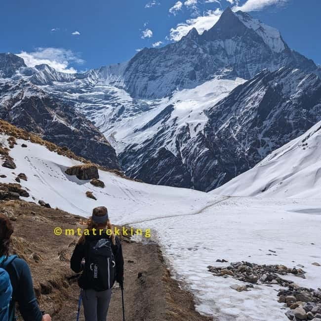 Pokhara: 5-Day Annapurna Base Camp (ABC) Trek - Guide support and the private-group advantage