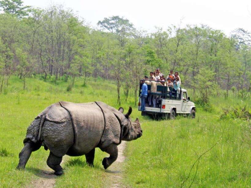 Pokhara: 5-Day Chitwan Wildlife & Lumbini Pilgrimage Tour - Day 5: Returning to Pokhara or Kathmandu