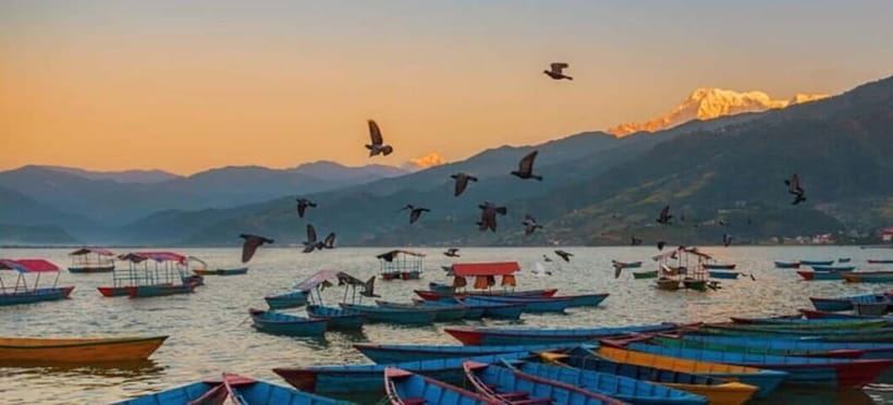 Pokhara: 5 Himalayan Viewpoints Guided Tour - Phokshing village and a more ordinary side of Nepal