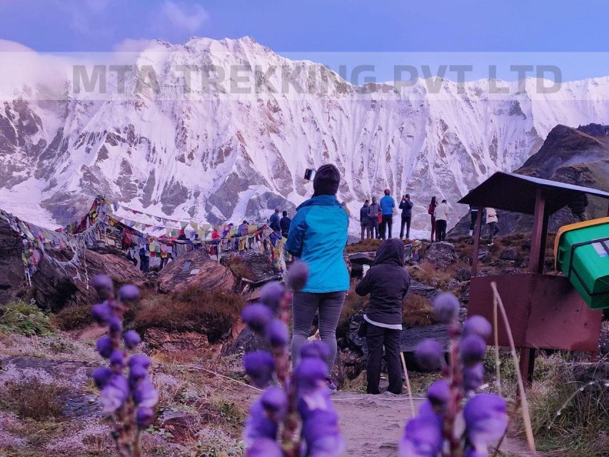 Pokhara: 7-Day Annapurna Base Camp Trek with Hot Springs - Day 7: Jhinu Dada to Samrong and back to Pokhara