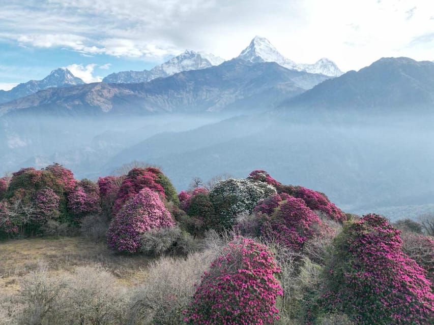 Pokhara: 7-Day Annapurna Base Camp Via PoonHill & Hot Spring - Day five: Deurali to Annapurna Base Camp at 4,130 meters