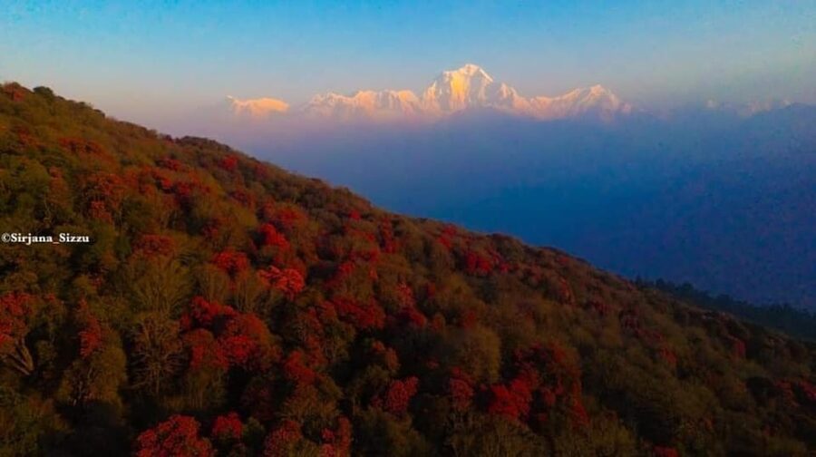 Pokhara: 7-Day Annapurna Base Camp Via PoonHill & Hot Spring - What the $267 price covers