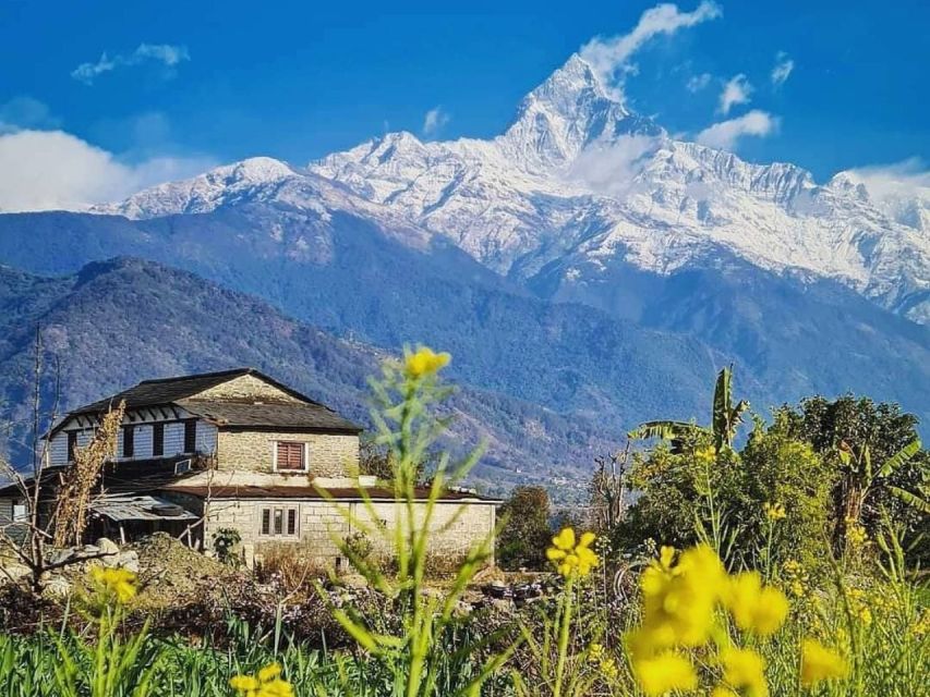 Pokhara: 9-Day Annapurna Base Camp Trek with Poon Hill - Day 3: Poon Hill Sunrise, Tadapani, and Chuile