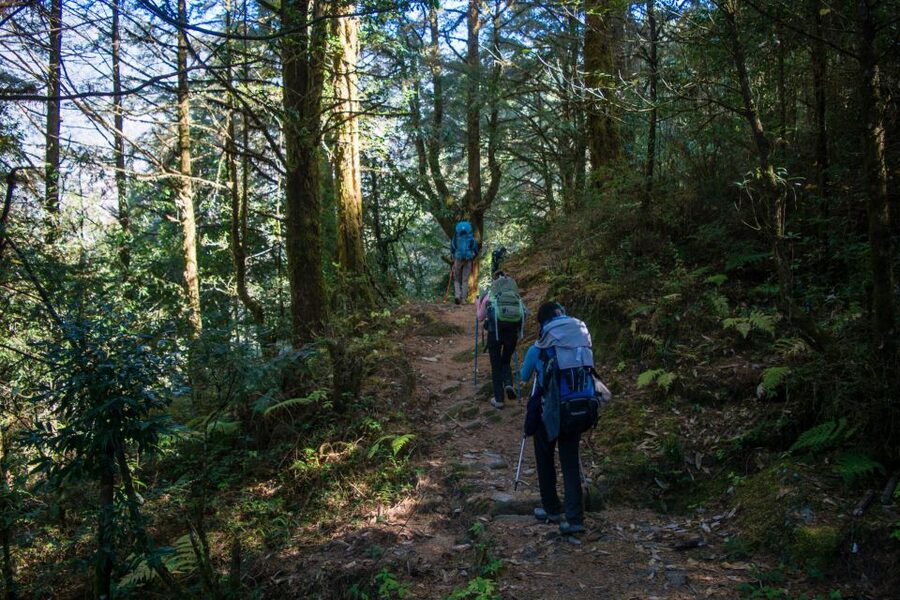 Pokhara: 9-Day Annapurna Base Camp Trek with Poon Hill - Day 5: Sinuwa to Deurali and the Higher Forest