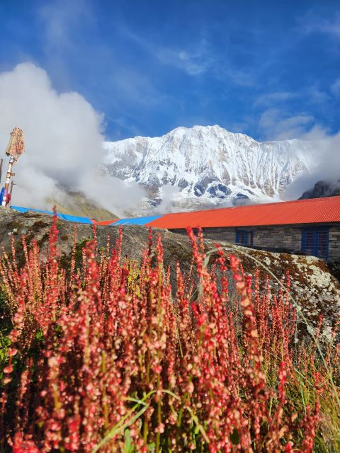 Pokhara: 9-Day Annapurna Base Camp Trek with Poon Hill - Day 6: Deurali to Annapurna Base Camp