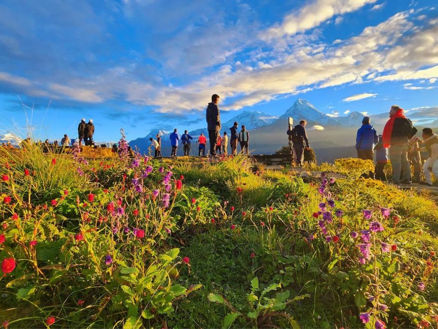 Pokhara: 9-Day Annapurna Base Camp Trek with Poon Hill - Day 7: The Long Descent to Bamboo