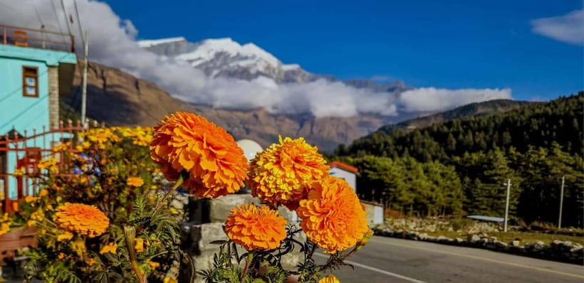 Pokhara: Amazing Day Hiking, Boating /Sunrise view tour - Who should choose this experience?
