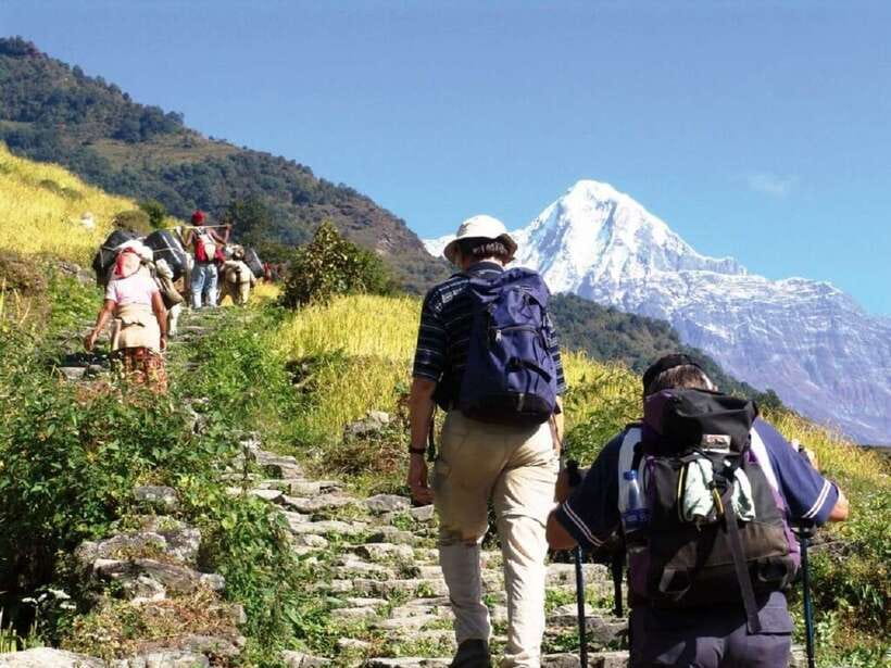 Pokhara: Annapurna Day Hike with Panoramic Views - Key points before you book