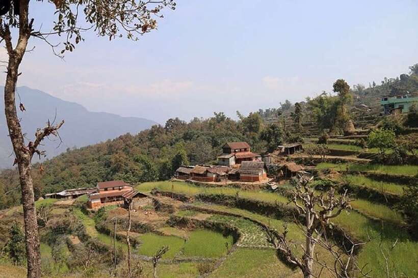 Pokhara: Annapurna Day Hike with Panoramic Views - Why this day hike works from Pokhara