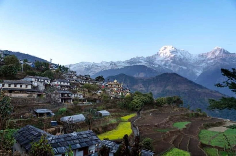 Pokhara: Annapurna Foothills Day Hike with Transfers - The descent through forest and terraced fields