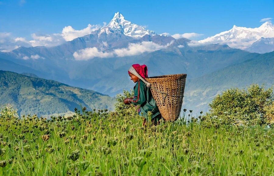 Pokhara: Annapurna Foothills Private Day Hike with Transfers - A guide can shape the whole experience